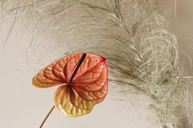 Best Flowers to Gift During the Winter Season - FlowerStop LA