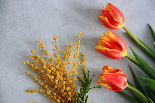 Why Mimosa Is the Symbol of Women’s Day - FlowerStop LA