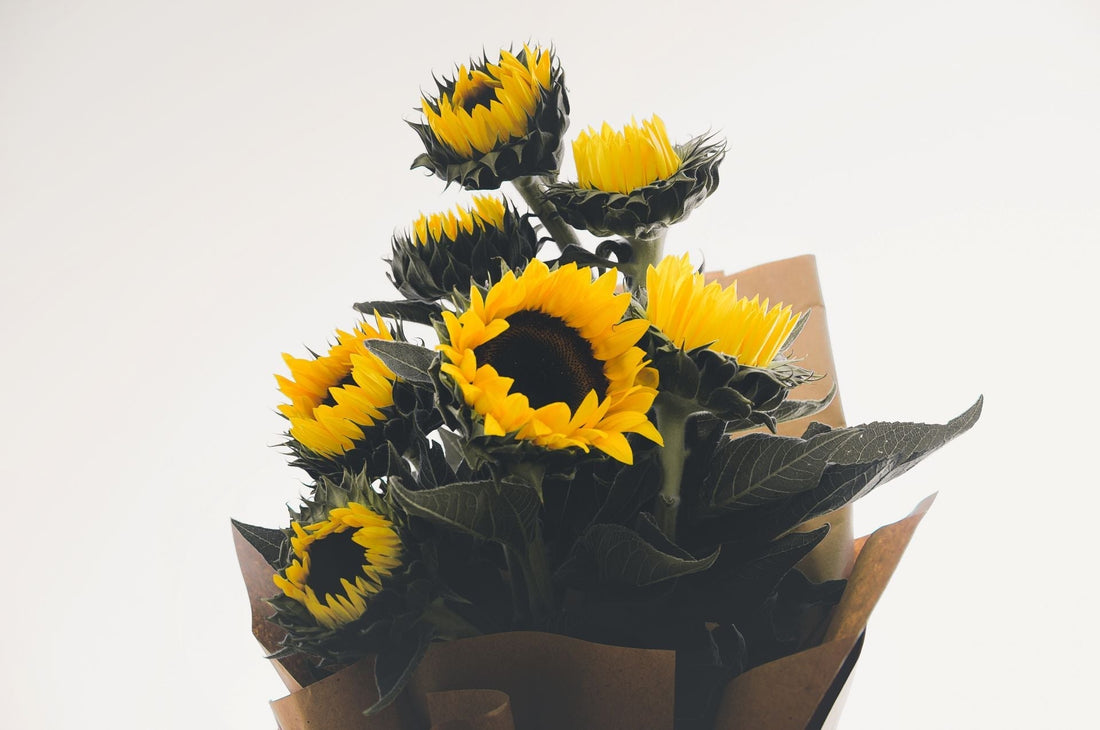 Why Sunflowers Are Considered a Symbol of Success - FlowerStop LA