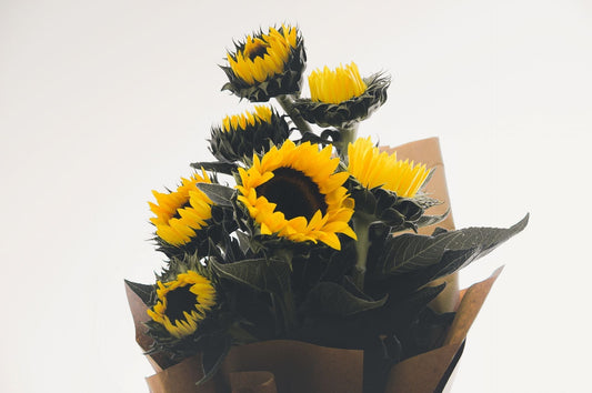 Why Sunflowers Are Considered a Symbol of Success - FlowerStop LA