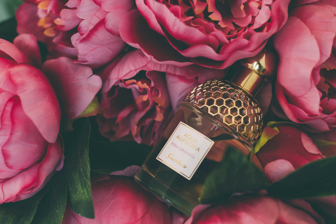 The Science of Scent: Why Flowers Smell So Magical - FlowerStop LA