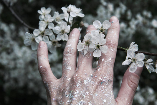 White Flowers Symbolism and Their Meanings - FlowerStop LA