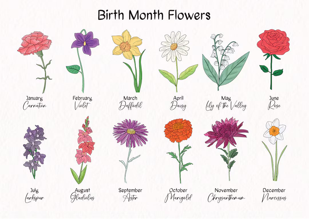 Birth Month Flowers: Discover Your Monthly Flower & Its Meaning - FlowerStop LA