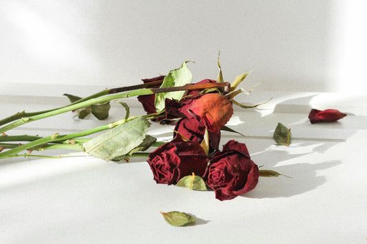 Creative Ways to Reuse Dead Flowers - FlowerStop LA