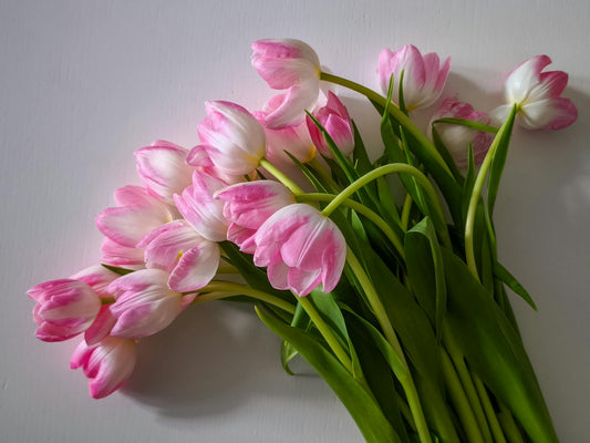 The Most Beautiful Flowers of Spring - FlowerStop LA