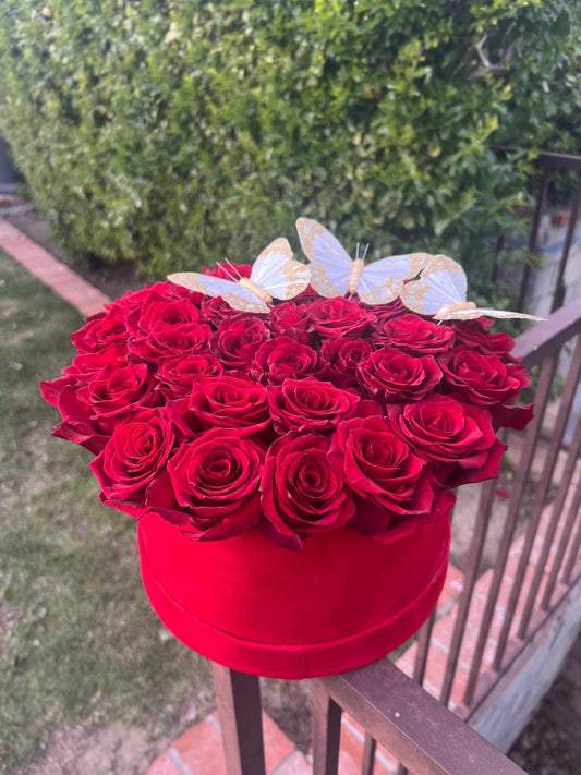 Velvet Romance Rose Box - FlowerStop LA